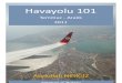 Havayolu 101: Temmuz-Aralık 2011