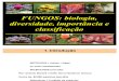 17 - Morfologia Classificacao e Aplicacao Dos Fungos 2010.2