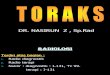 Toraks 3 - dr