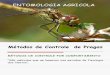 Entomologia Agricola aula 2