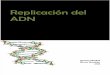 Biología IV REPLICACION_ADN