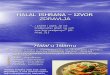 Halal Ishrana - Izvor Zdravlja