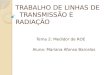 TRABALHO DE LINHAS DE       TRANSMISSÃO E RADIAÇÃO
