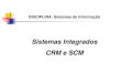 Aplicativos Integrados CRM e SCM