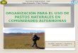 Organizacion Para El Uso de Pastos Naturales FATS (Yakelin Pacheco Narvaez)