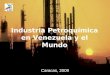 Tema 1. Industria Petroquimica Venezolana y Mundial