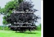 Armonia Tonal Tomo 1 Un Arboretum Musical Cuadernillo Armonico de Campo