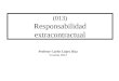 (013) Responsabilidad extracontractual