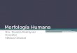 Introducción a la Morfología Humana