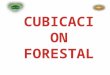 Cubicacion Forestal