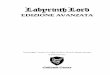 Advanced Labyrinth Lord Edizione Avanzata in Italiano