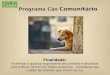 Programa Cão Comunitário