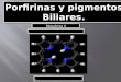 Bioquimica - Porfirinas y Pigmentos Biliares2