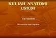 Anatomi Umum (Introduction)_0