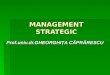 m 2 n212 Management Strategic Caprarescu Gheorghita