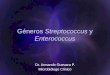 Streptococcus y Enterococcus