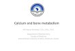 Calcium Metabolism 2012, New Version