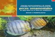 2006 - Aspectos socioeconómicos y de manejo sostenible del comercio internacional de peces ornamentales de agua dulce en el Norte de Sudamérica - Retos y Perspectivas