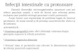 Infecţii intestinale cu protozoare