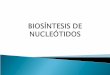 BIOSÍNTES.. ac nucleicos