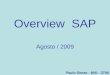 Treinamento SAP Overview1