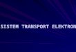 40541303 Transport Elektron
