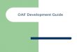 48846920 OAF Development Guide