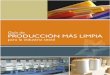 Guia de P Mas L Para La Industria Textil y de Confeccion