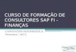 Curso SAP FI - Finance