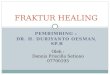 Fraktur Healing