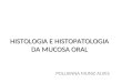 Roteiro de histologia da mucosa oral.ppt