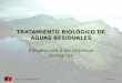 TRATAMIENTO BIOLÓGICO DE AGUAS RESIDUALES