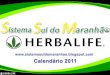 Calendario 2011-ssma