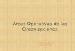 Areas operativas (produccion, logistica, c ompras y calidad)