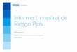 Informe Trimestral Riesgo País - Marzo 2013