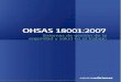 Ohsas 18001-2007(es)
