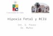 Hipoxia fetal y RCIU