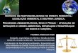 Processos administrativo, civil e penal em meio ambiente