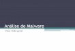Analise de Malware e Pesquisas Recentes
