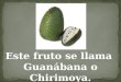 Guanábana ó Chirimoya