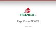 Expo pemex 120730