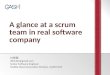 A glance at a scrum team in real software company