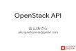 OpenStack API