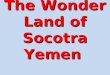 The Wonder Land Of Socotra Yemen