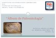 álbum de paleontología