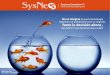 Brochure Sysneo Consulting S.A.C