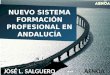 El nuevo sistema de formación profesional en Andalucía