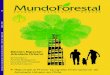 Revista Mundo Forestal n ° 21
