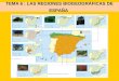 Las regiones biogeográficas de Èspaña. Tema 6  de Geografía 2º Bach