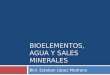 Bioelementos agua-sales minerales